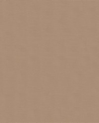 Spaliner 2nd Edition 6009 Beige by   