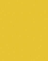 Spirit Milm US 322 Sun Yellow by   