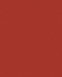 Spirit Milm US 358 Tomato by   