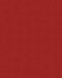 Spirit Milm US 360 American Beauty by   