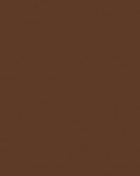 Spirit Milm US 369 Gingersnap by   