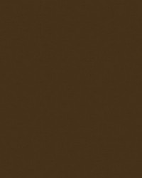 Spirit Milm US 375 Chestnut by   