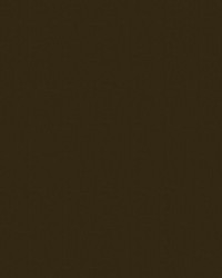 Spirit Milm US 381 Mocha by   