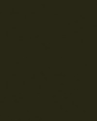 Spirit Milm US 383 Espresso by   