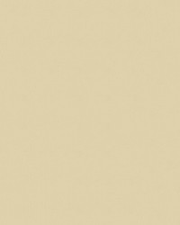 Spirit Milm US 385 Parchment by   