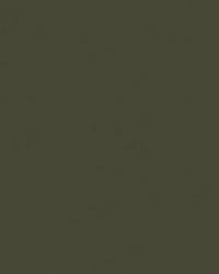 Spirit Milm US 392 Gunmetal by   