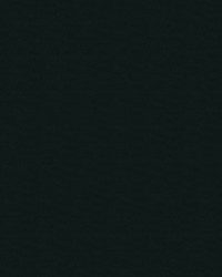 Spirit Milm US 393 Black by   