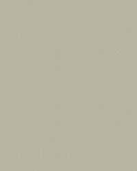 Spirit Milm US 396 Alabaster by   