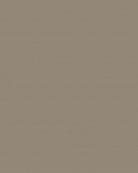 Spirit Milm US 403 Putty by   