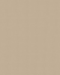 Spirit Milm US 404 Bone by   