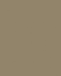 Spirit Milm US 410 Taupe by   