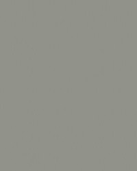 Spirit Milm US 413 Dove by   