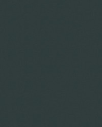 Spirit Milm US 429 Graphite by   