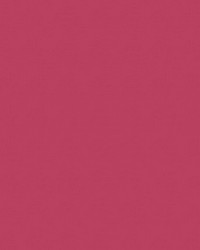 Spirit Milm US 504 Rosalee by   