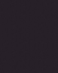 Spirit Milm US 510 Concord by   