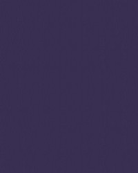 Spirit Milm US 511 Deep Violet by   