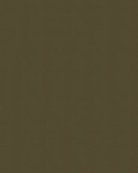 Spirit Milm US 523 Bronze by   