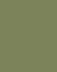 Spirit Milm US 526 Sage by   