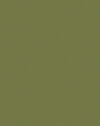 Spirit Milm US 527 Artichoke by   