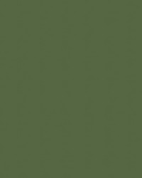 Spirit Milm US 529 Olive Green by   