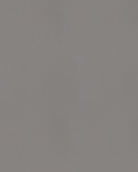 Spirit Milm US 531 Platinum by   