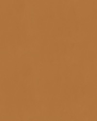 Spirit Milm US 535 Maple by   