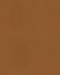 Spirit Milm US 536 Russet by   