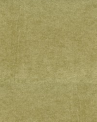 Staccato 205 Sawgrass by   