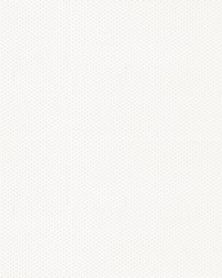 Stipple 602 Mystic White by   