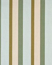 SunbrellaFurnitureGateway Aloe14092 0000 by   