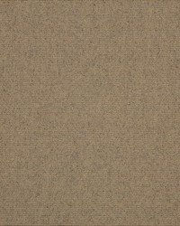 Sunbrella 46 Tweed Toast by   