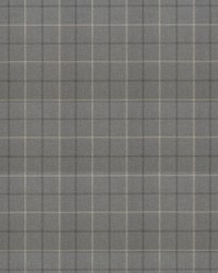 Sunbrella Furniture Paradigm 40484-0001 Stone by   