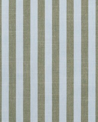 SunbrellaFurnitureSail Away Aloe40606 0002 by   