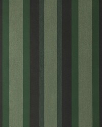 Sunbrella46 Marco Olive4707 0000 Stripe by   
