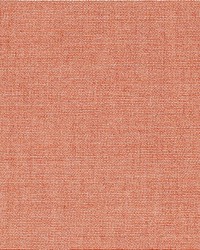 SunbrellaFurnitureRemix Mesa48145 0005 by   