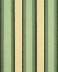 Sunbrella 4856 Colonnade Juniper by   