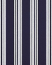 Sunbrella 4902 Cptn Nvy/Ntrl Clsc by   