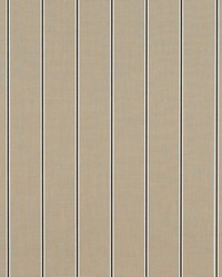 Sunbrella46P Putty Regimental4961 0000 Stripe by   