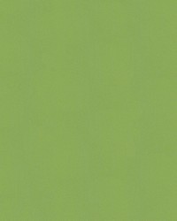 Sunbrella Furniture Solid Canvas 54011 Gingko by   