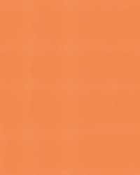 Sunbrella Furniture Solid Canvas 5417 Tuscan by   