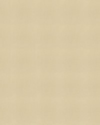 Sunbrella Furniture Solid Canvas 5422 Antique Beige by   