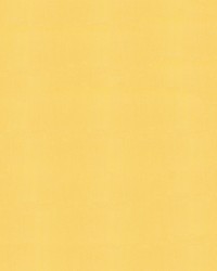 Sunbrella Furniture Solid Canvas 5438 Buttercup by   