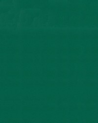 Sunbrella Furniture Solid Canvas 5446 Forest Green by   