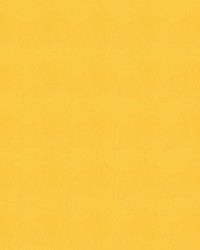 Sunbrella Furniture Solid Canvas 5457 Sunflower Yellow by   