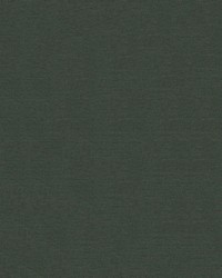 Sunbrella Furniture Solid Canvas 5487 Fern by   