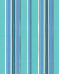 Sunbrella Furniture Stripes Dolce 56001 Oasis by   