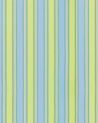 Sunbrella Furniture Stripes Bravada 5602 Limelite by   