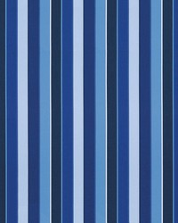Sunbrella Furniture Stripe Milano 56080-0000 Cobalt by   