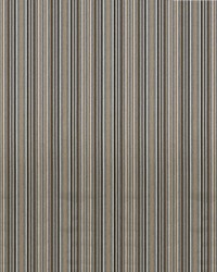 Sunbrella Furniture Cultivate 56107-0000 Stone by   