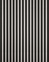 Sunbrella Furniture Shore 58033-0000 Classic by   